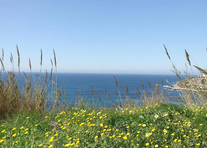 Dom Lourenco 阿雷亚布兰卡